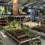 Extindere semnificativă a departamentului de grădină al magazinului Hornbach din Sibiu